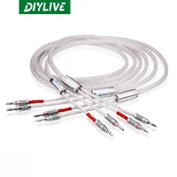 DIYLIVE HiFi speaker cable single crystal copper silver plated 16-strand stereo stranded braided power amplifier cable