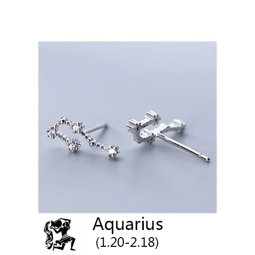 Aquarius Trustdavis 925 Твердые ювелирные изделия из настоящего стерлингового серебра 12 созвездие серьги гвоздики подарок на день рождения для женщин девочек DA330 - Окраска металла: Aquarius