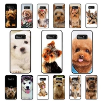 yinuoda yorkshire terrier dog newest fashion phone case for samsung note 3 4 5 7 8 9 10 pro plus lite 20 ultra