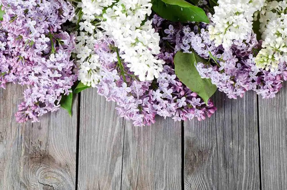 

SHENGYONGBAO Vinyl Custom Photography Backdrops Prop Wood Planks Floral theme Photo Studio Background FG19607-913832