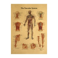 illustration of human body vascular system kraft paper retro poster classroom museum decoration painting