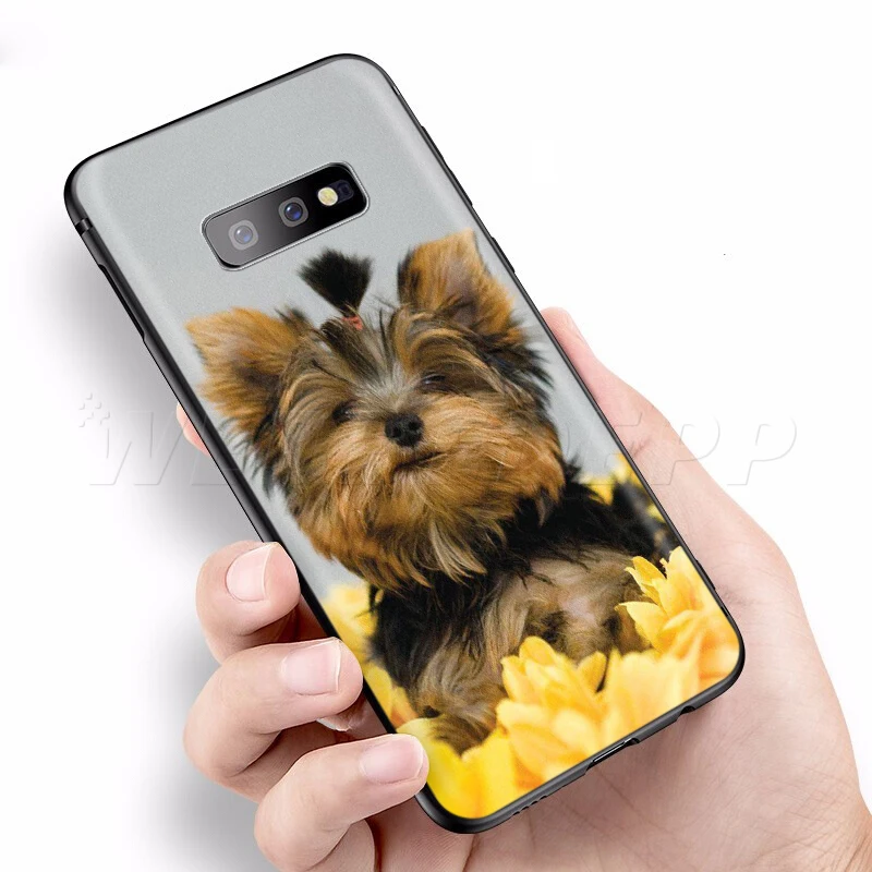 Чехол для Samsung Galaxy S10 S20 Ultra Note 10 Lite Plus A51 A71 A81 A91 A10S A20S A30S A40S A50S A70S|Бамперы| |