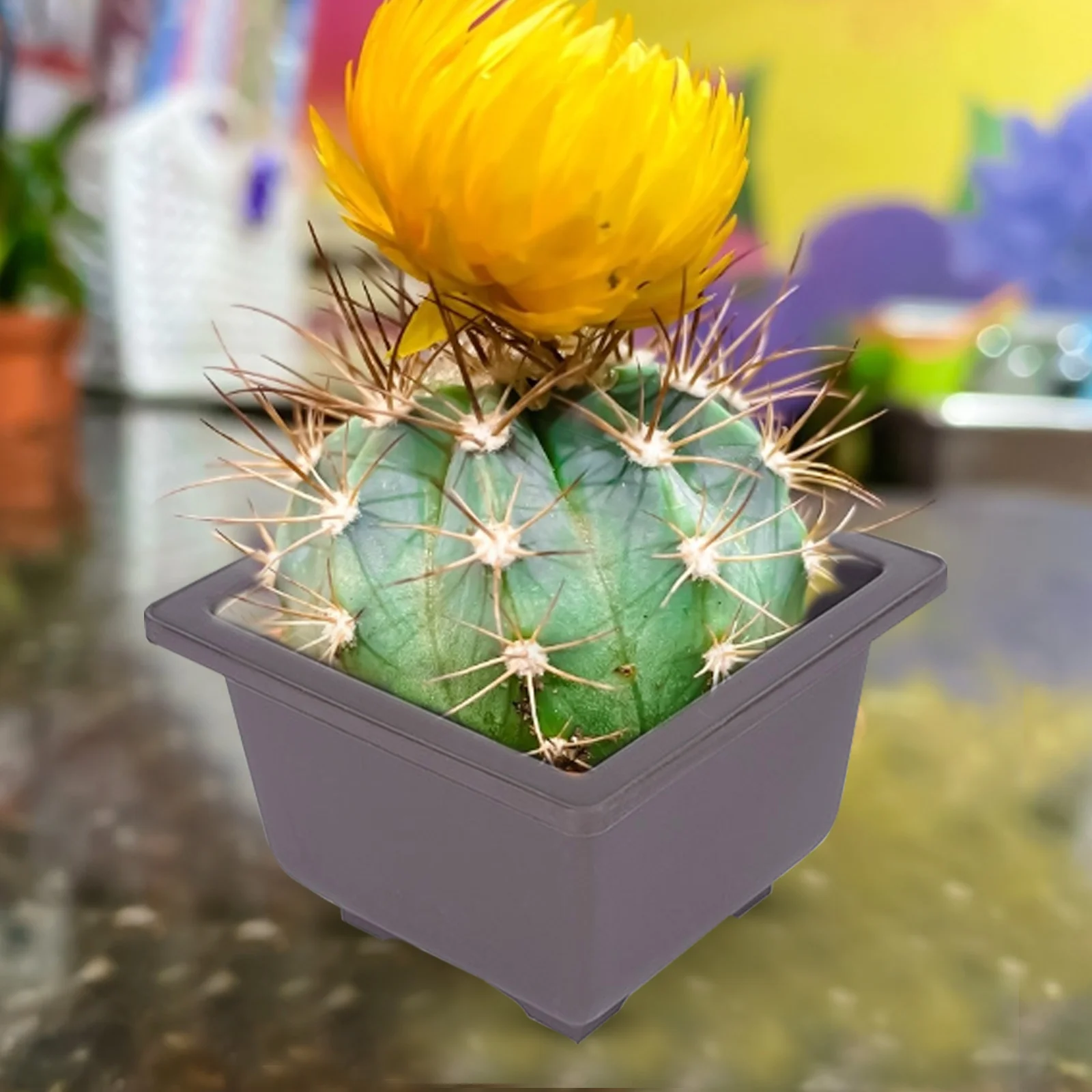 

5pcs 6.7" Flower Pots Square Plastic Pots For Training Pots, Flower And Fleshy Potted Containers Garden Planters Home Decoration