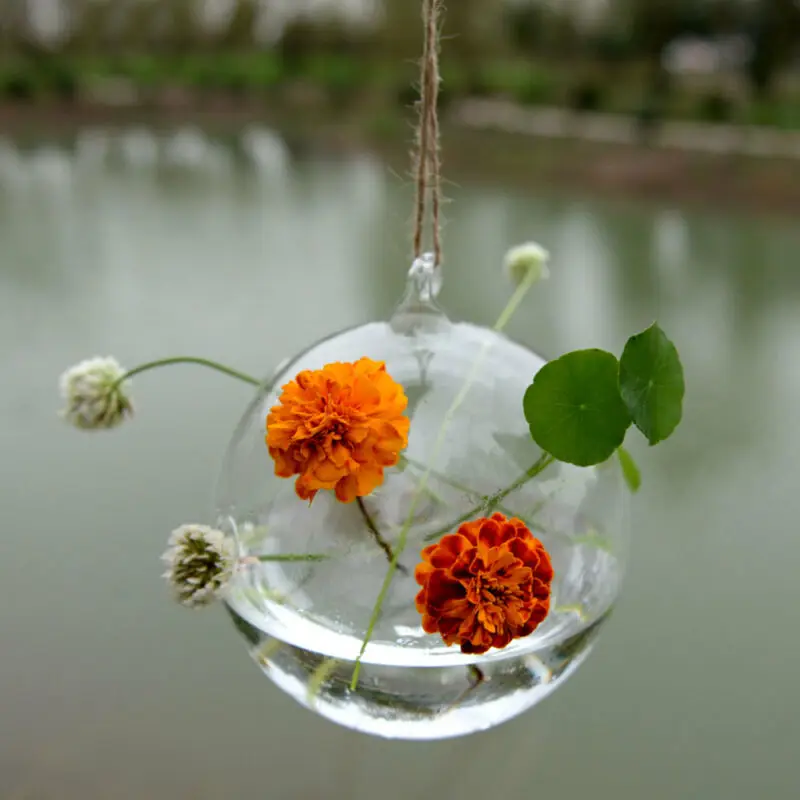 Стеклянная ваза круглой формы для домашнего сада подвесная цветов шар плантатор