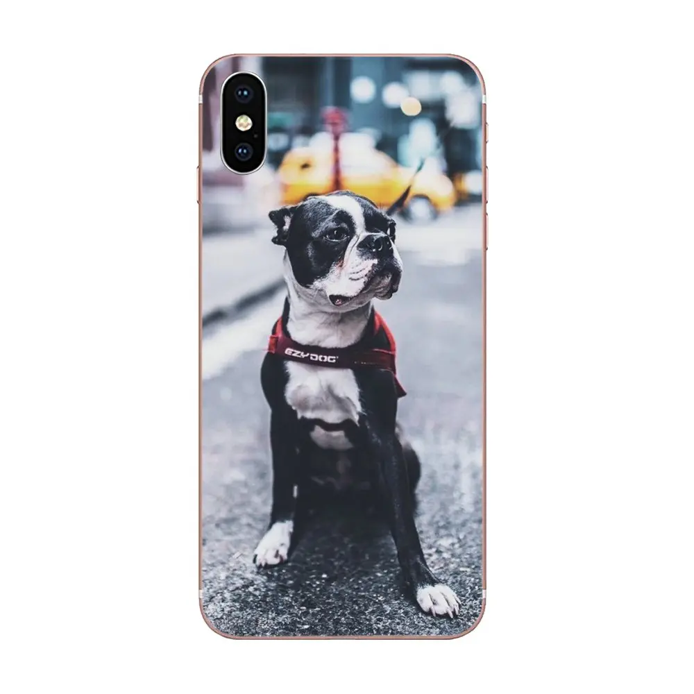 Прекрасный Животные собака дрова для Galaxy Alpha Note 10 Pro A10 A20 A20E A30 A40 A50 A60 A70 A80 A90 M10 M20 M30