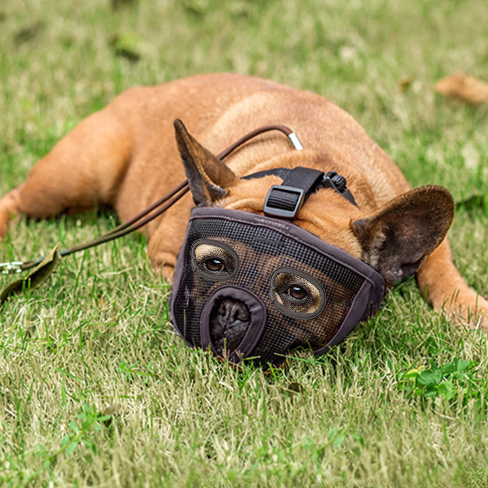 Мордочка для собак с коротким носиком-Регулируемая дышащая сетчатая мордочка
