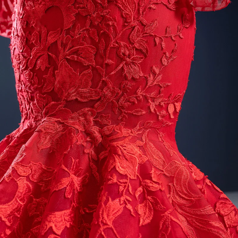 Рисунок 6 - J67174 janceber красные вечерние