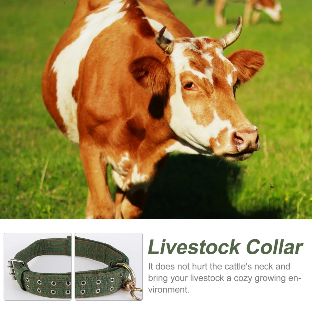 

1Pc Livestock Explosion-proof Collar Livestock Animal Husbandry Supply (Green)