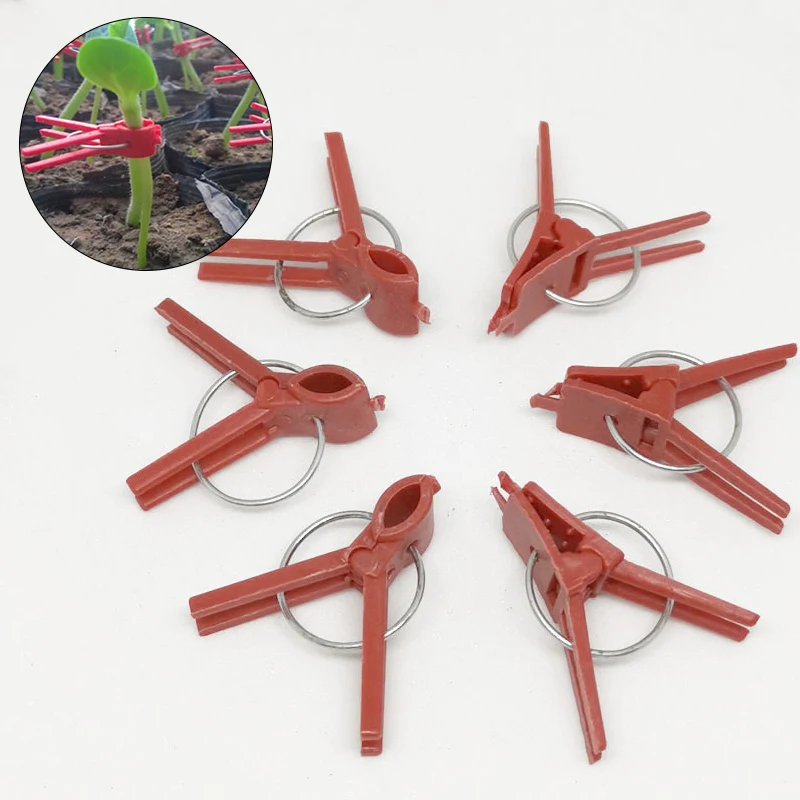 Зажим для растений пластиковый зажим садоводства огурцов баклажанов Арбузов