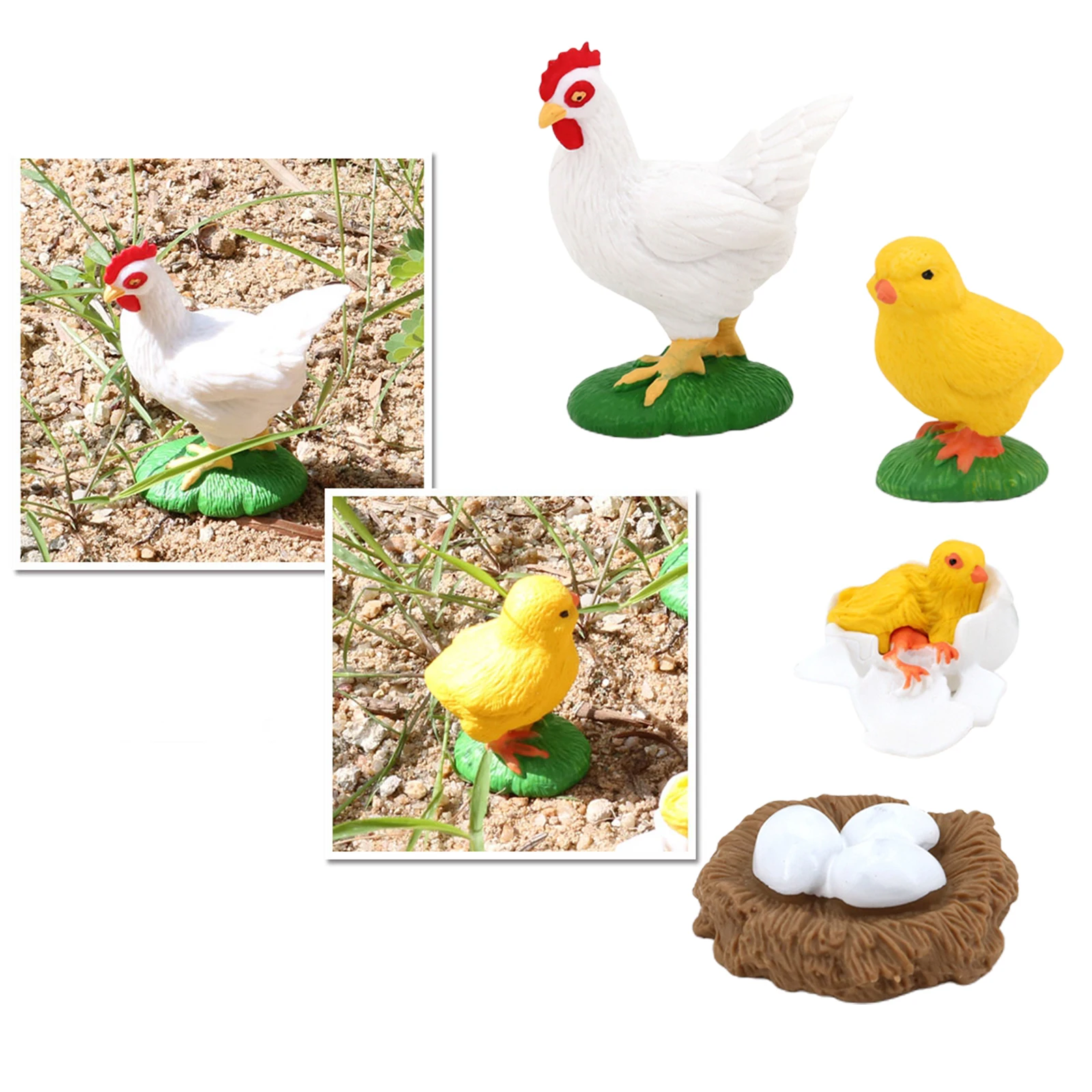 

4pcs / Set Plastic Children Child Insect Hen Growth Model Playset