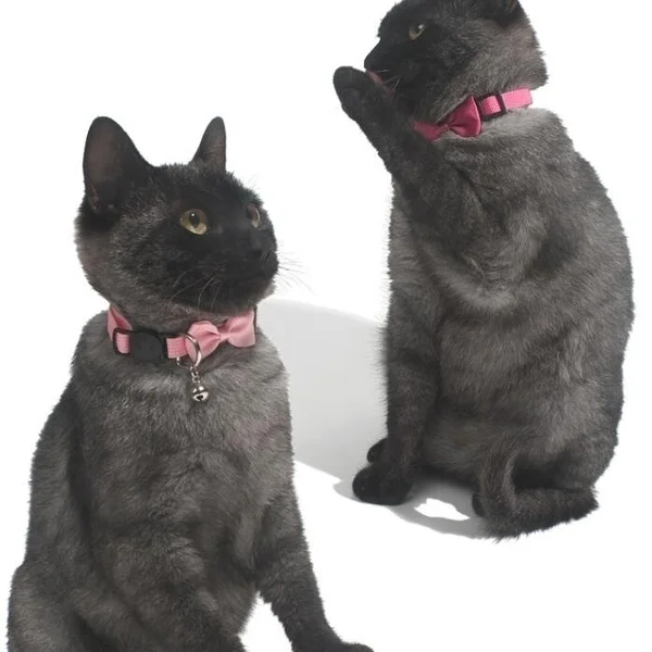 Модный новый ошейник бант для домашних животных нейлоновая тесьма многоцветная