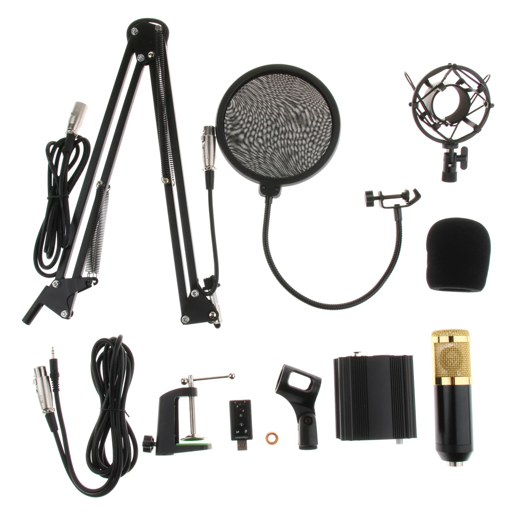 Профессиональный конденсаторный микрофон для звукозаписи в студии с поп