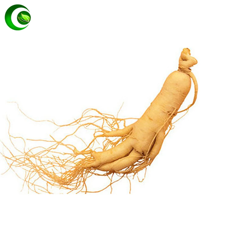 

Panax Ginseng Powder Organic 100%