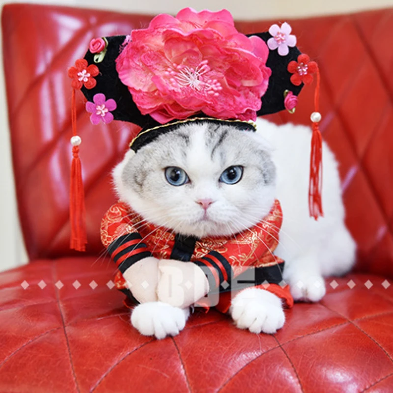

Забавная китайская принцесса император Косплей Кот одежда женский Рождественский костюм трехмерный стоячий костюм для питомца