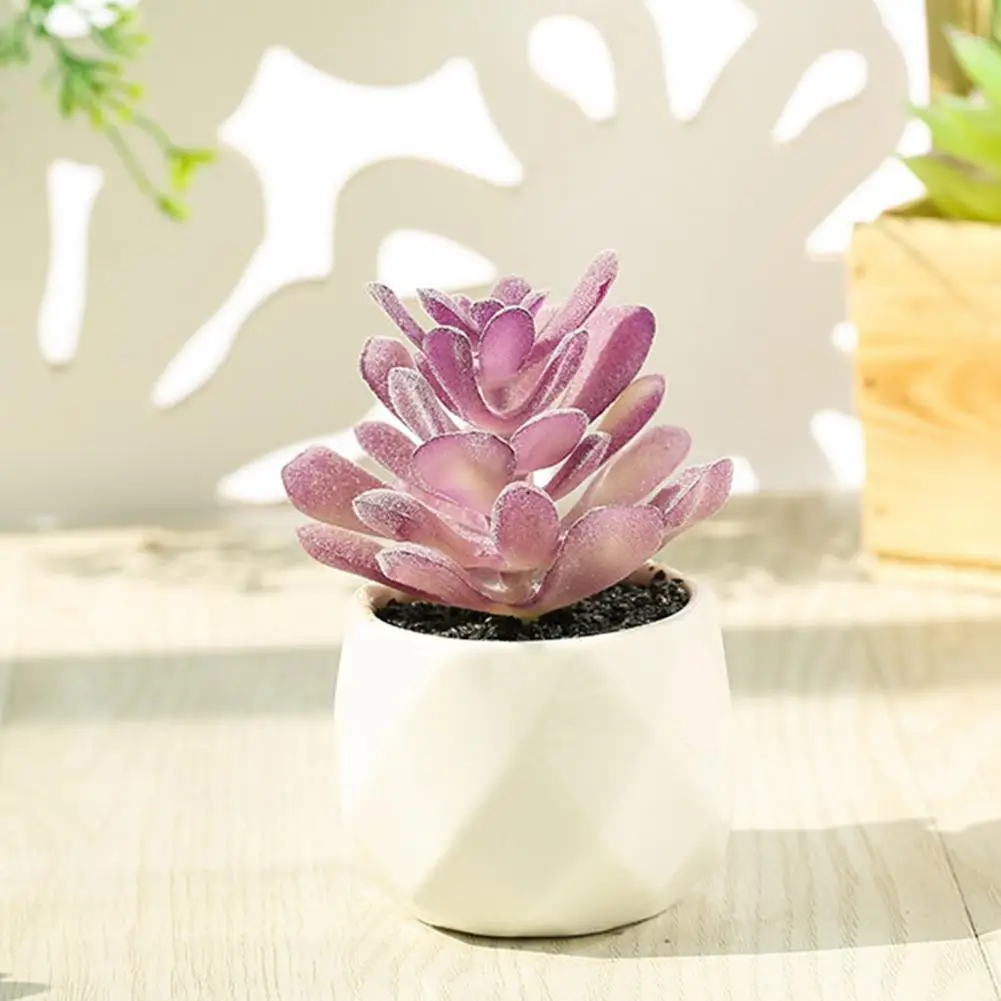 

Good Mini Wide Application Mini Pretty Potted Succulent for Gifts Artificial Plant Bonsai Succulent Plant