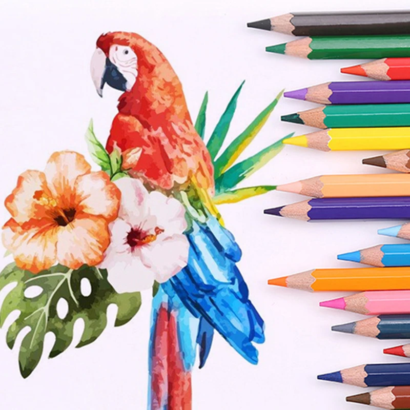 

High Quality 24/36/48pcs Colored Pencil Painting Set lapis de cor Non-toxic Oily Color Pencil Writing Pen School Supplies