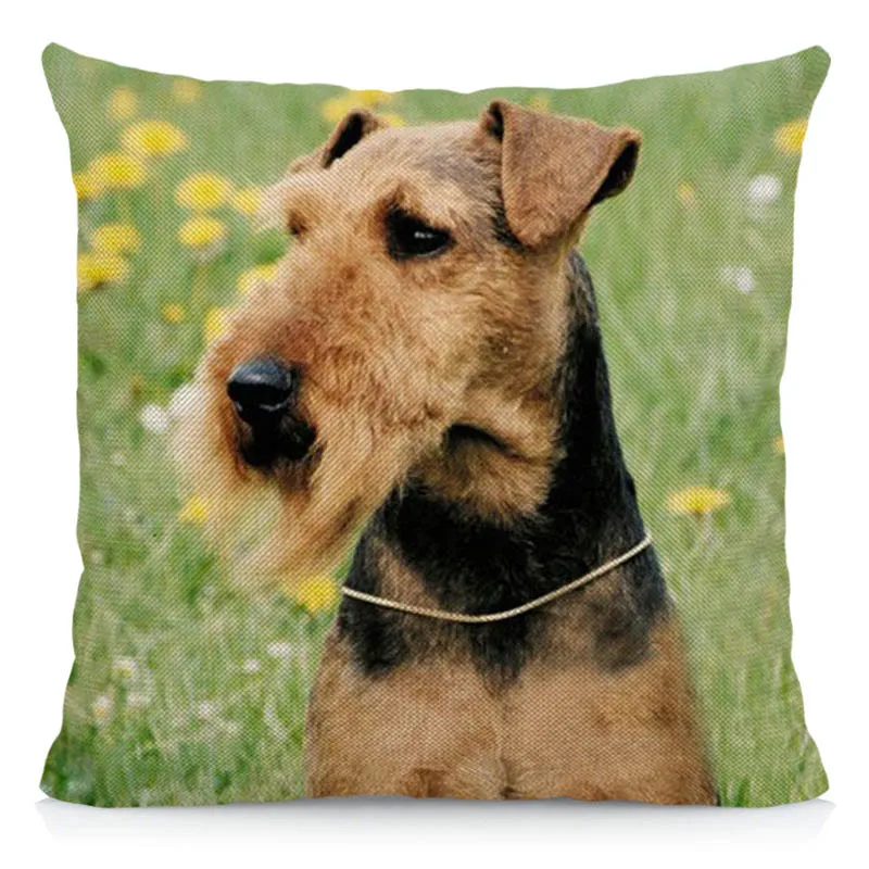 Чехол для подушки Welsh Terrier 45x45 см