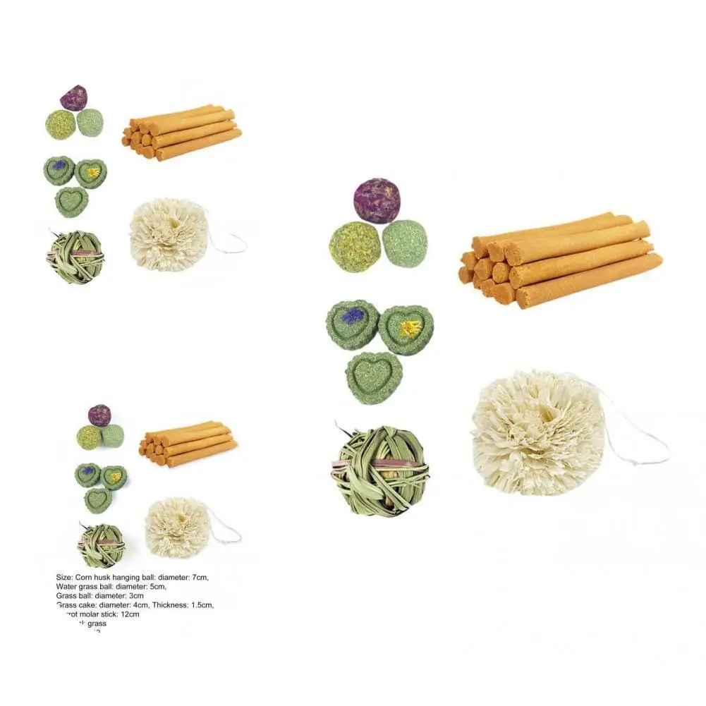 

Teeth Cleaning Playing Toy Grass Ball Cake Carrot Stick for Guinea Pig