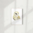 Оригинальная картина с изображением акварельной совы, настенное искусство с изображением Золотой сарая совы, Serene птичка для домашнего декора, австралийский художник