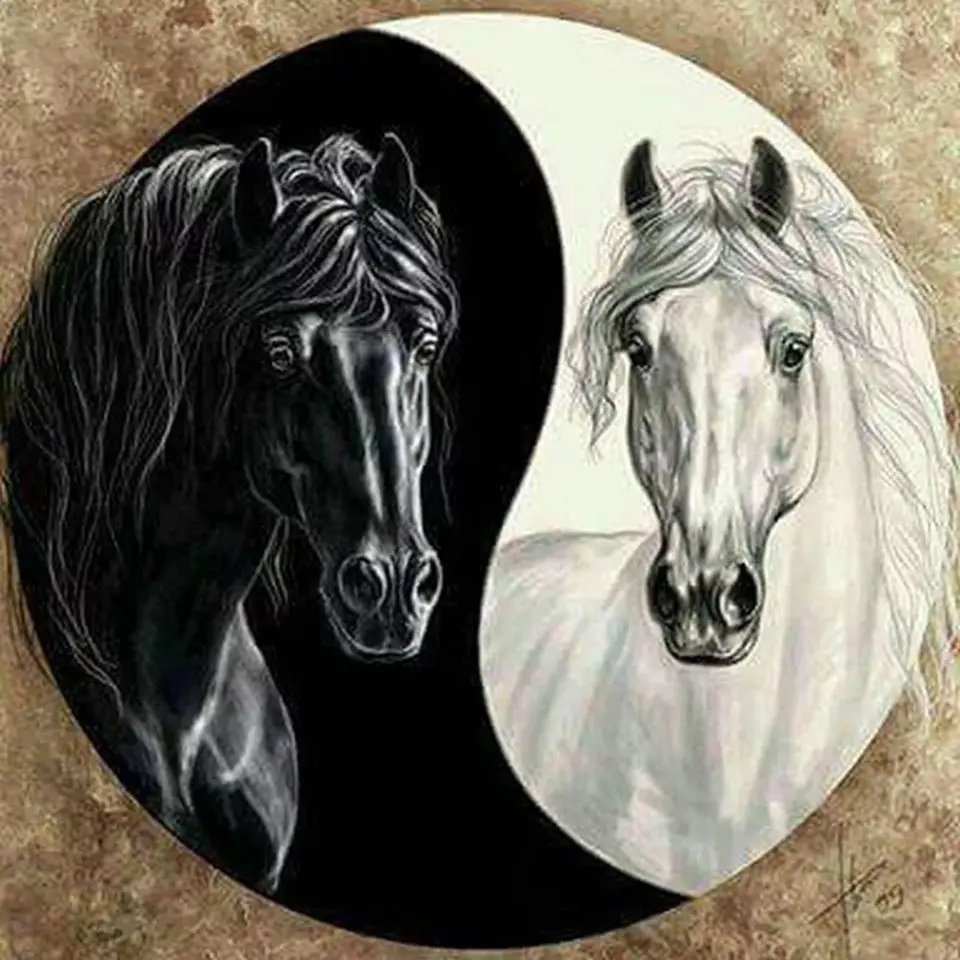 

Home 5D diamond painting handicraft sewing cross stitch"animal black and white horse"full DIY diamond embroidery decoration gift