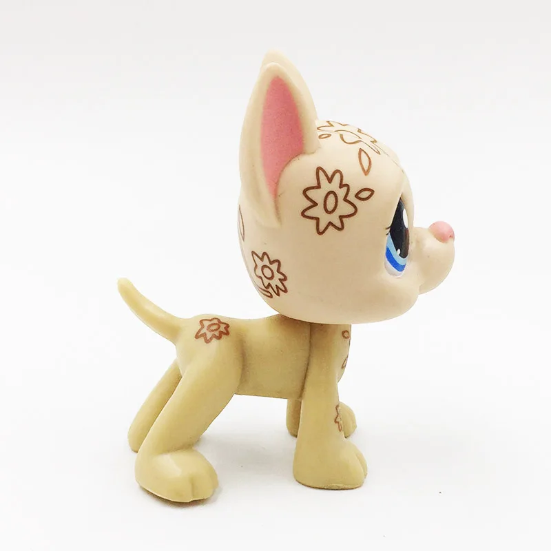 LPS CAT Littlest pet shop милые игрушки отличная фотография мини собака арт цветы с голубыми