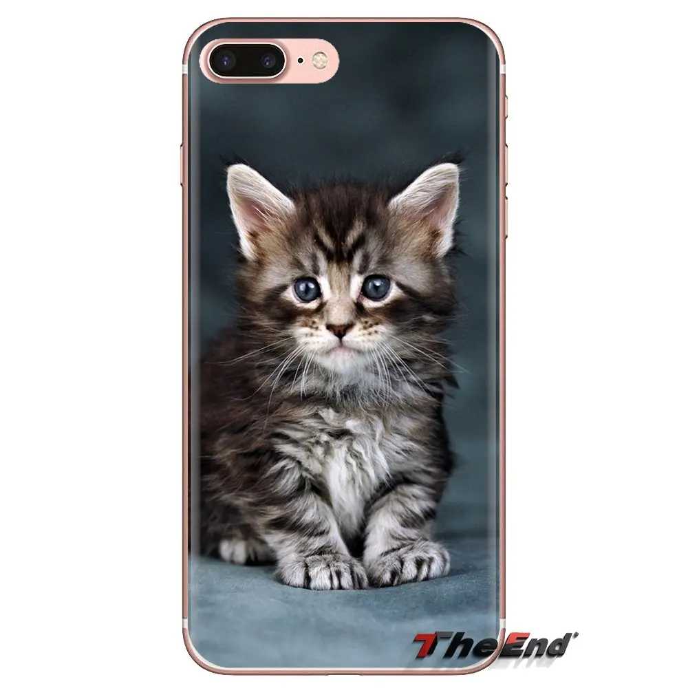 Soft Transparent Cases Covers For Xiaomi Redmi 4 3 3S Pro Mi3 Mi4 Mi4i Mi4C Mi5 Mi5S Mi Max Note 2 pet maine coon cat silver |