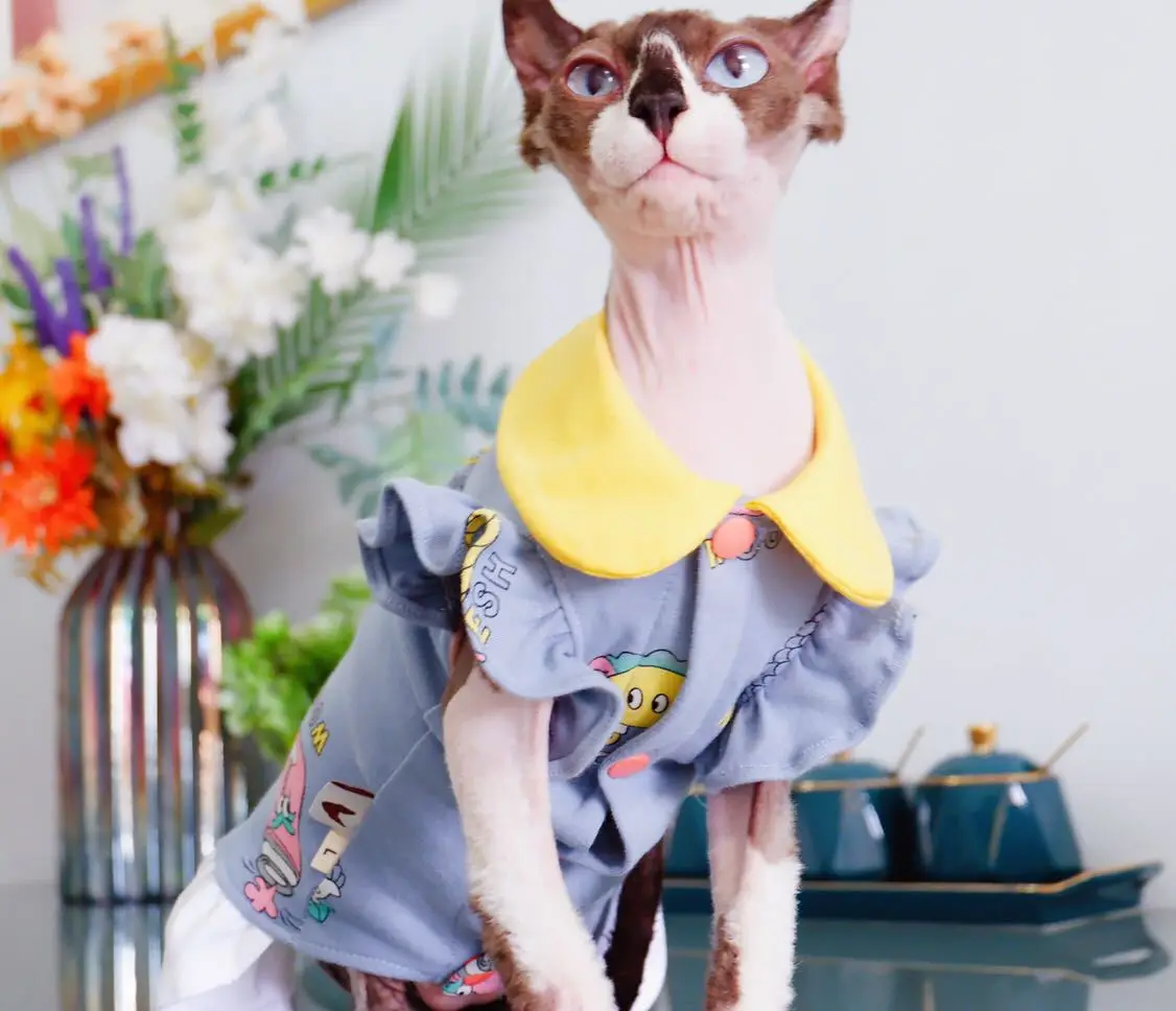 

Sphynx Cat Clothes Summer new cute cartoon little flying sleeve skirt hairless cat clothes anti-off thin section breathable
