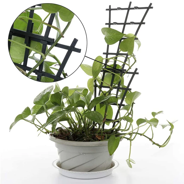 

6 Pcs Plant Support,Stake Plastic Garden Plant Stake,DIY Plant Climbing Trellis for Climbing Plants and Vine