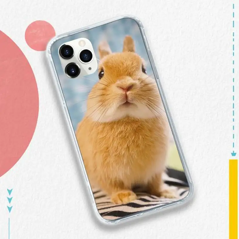 

Rabbit animal high quality fashion Phone Case for iPhone 11 12 pro XS MAX 8 7 6 6S Plus X 5S SE 2020 XR
