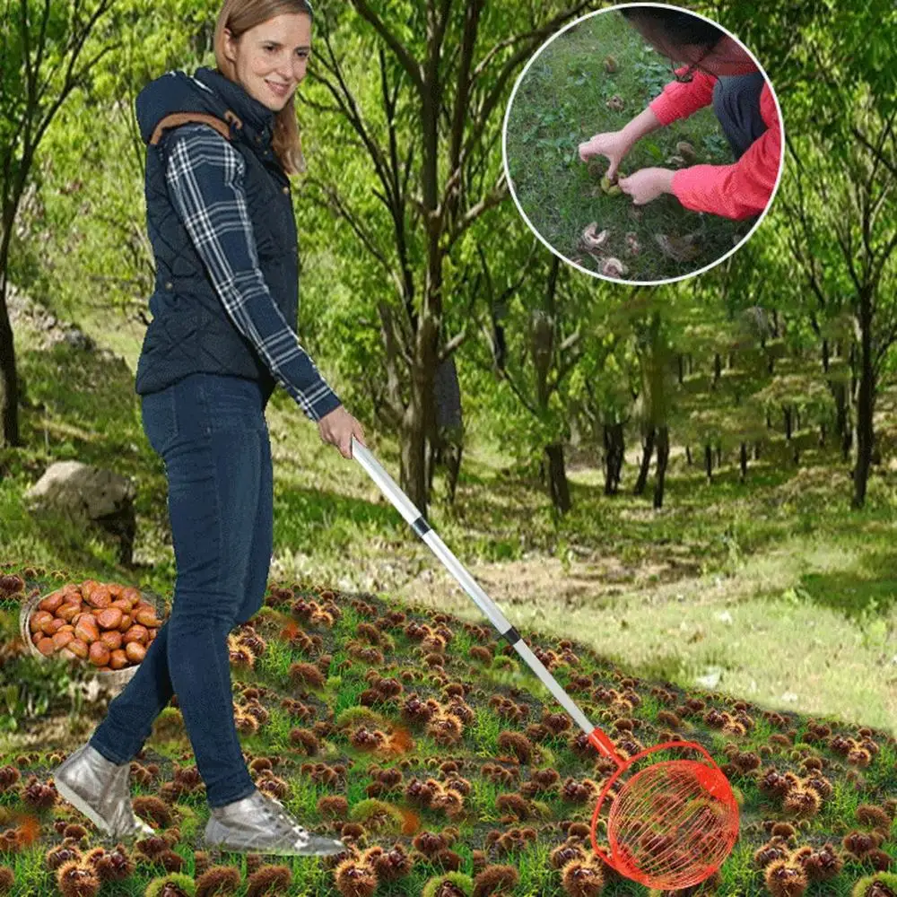 

Fruit Picker Catcher Fruit Picking Tool Agriculture Garden Picking Device Chestnuts Berry Harvester Fruit Collector Greenhouse