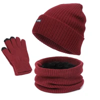 winter knitted hats for women men hat scarf glove set 3 piece sets twist stripes cap gorros bonnet outdoor warm beanie skullies