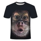 Летняя Новинка 2021, футболка с 3D принтом для мужчин и женщин, повседневный стиль, свинья, собака, обезьяна, Лев, элемент животного, размер, оптовая продажа