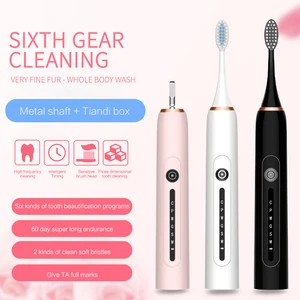 USB Rechargeable Electric Toothbrush 6 Modes Sonic Teeth Cleaning Waterproof Adults Kids Toothbrush With Replacement Brush Heads