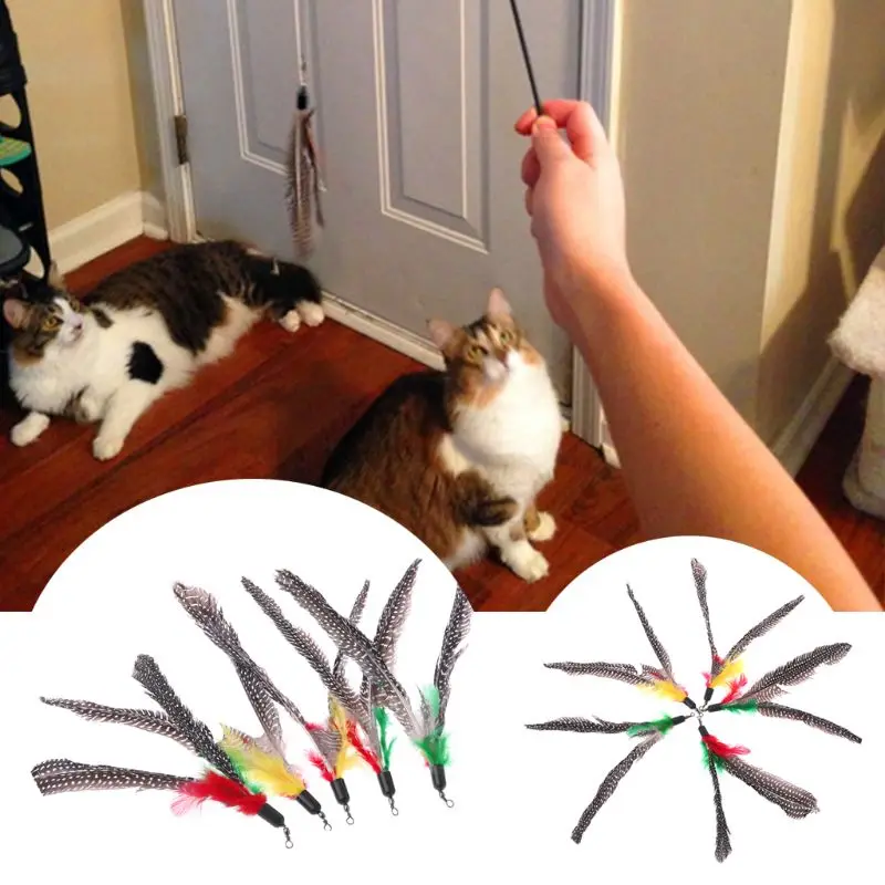 

5PCS Handmade Natural Feather Cat Toy Da Bird Refills Interactive Teaser Sticks