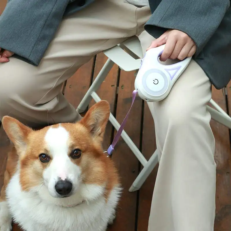 

Dog Leash With Light Durable Nylon Retractable Big Dog Walking Leash Leads Automatic Extending Dog Leash Rope Dog Supplies