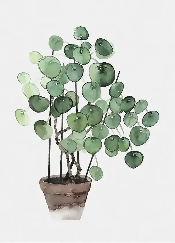 9 Monstera Deliciosa листья стены Искусство Холст Живопись зеленый стиль растение скандинавские плакаты и принты картина Современное украшение дома - Цвет: 9