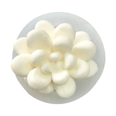 Суккуленты силиконовые формы для торта инструменты выпечки Fondant украшения