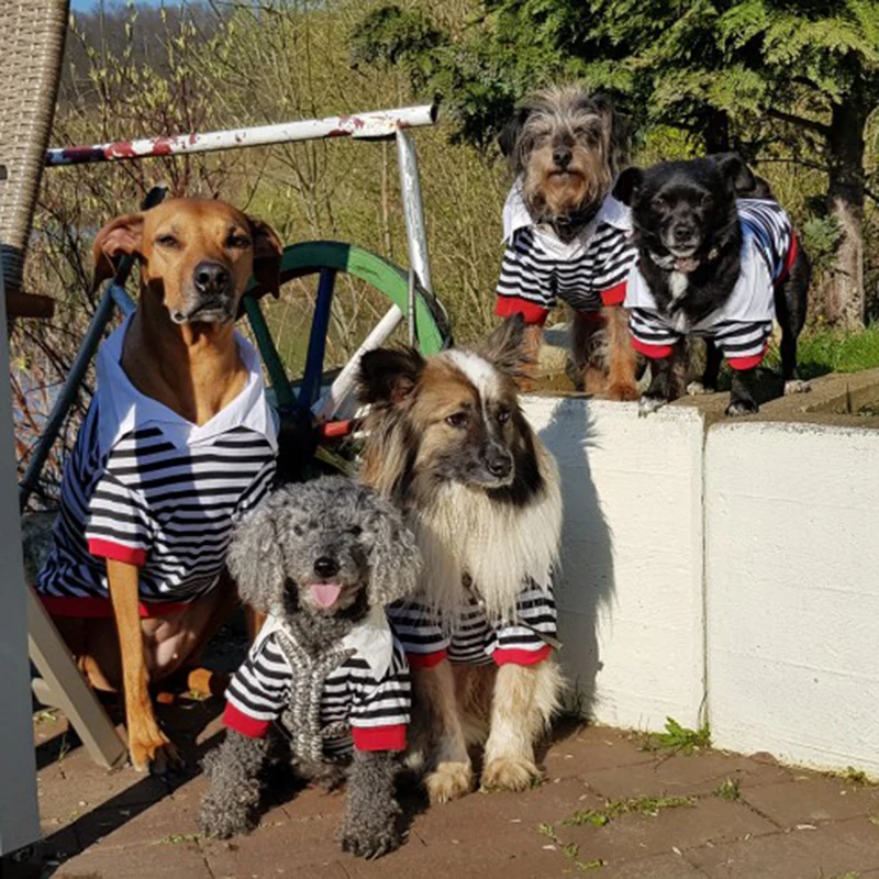 Большая домашняя Собака куртка 100% хлопок Одежда для маленьких собак полосатая