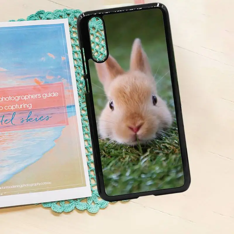 

Cute White Baby Rabbits Phone Case PC for iPhone 11 12 pro XS MAX 8 7 6 6S Plus X 5S SE 2020 XR