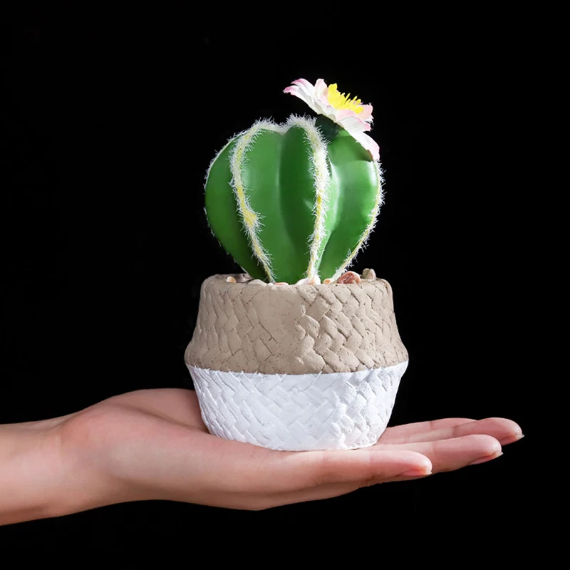 

FZPJ043 Succulent Cactus Simulation Small Potted Ornament#1#1