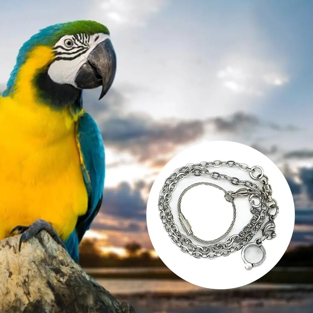 1 шт. Pet Parrot Leg Ring цепочка на лодыжку Птичье кольцо открытый Летающий тренировочный Стенд аксессуары товары для птиц
