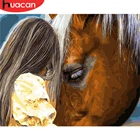 HUACAN Раскраска по номерам девушка и лошадь ручная роспись на холсте DIY домашний декор для взрослых живопись по номерам акриловый подарок