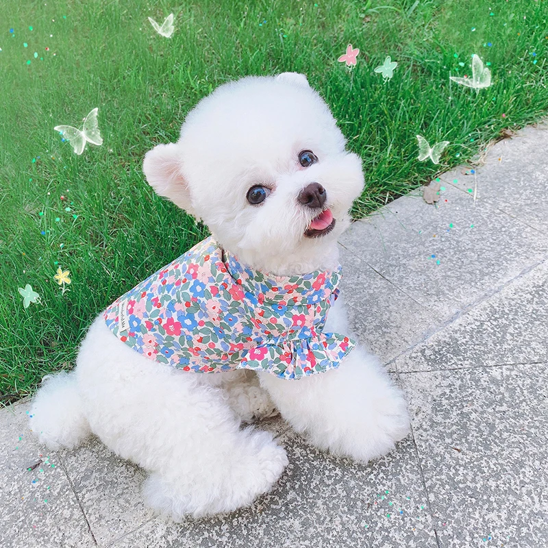 

Pet Shirts Summer Pet Clothes Dog Hawaiian Shirt Schnauzer Bichon Dog Clothesing for Small Dogs Girl Couples Cute Pet Costume