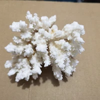 9 13cm 100 natural coral sea white coral tree white coral aquarium landscaping home furnishing ornaments home decoration