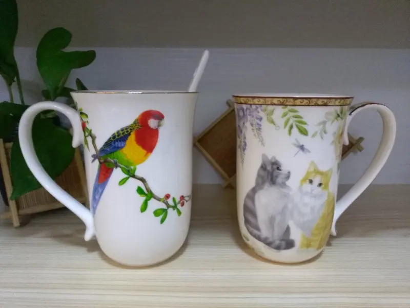 

TC009- Hand-painted ceramic Cute cat cup, flower and bird cup, household water cup, mug, milk cup