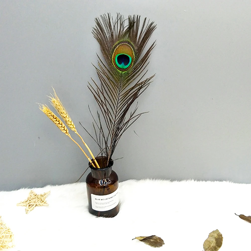 20/30/50 шт. птица павлина | Дом и сад