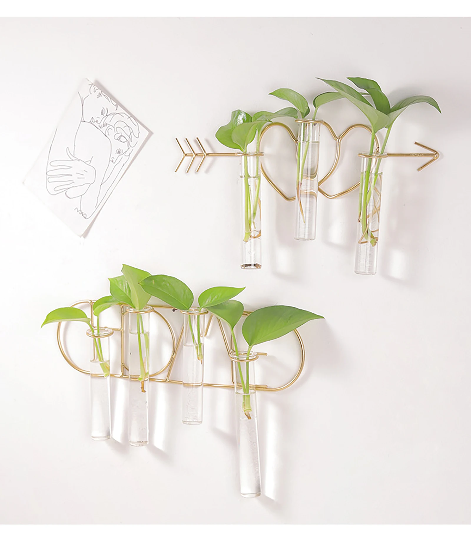 Настенные гидропоники кованого железа Стекло вазы для растений висячий