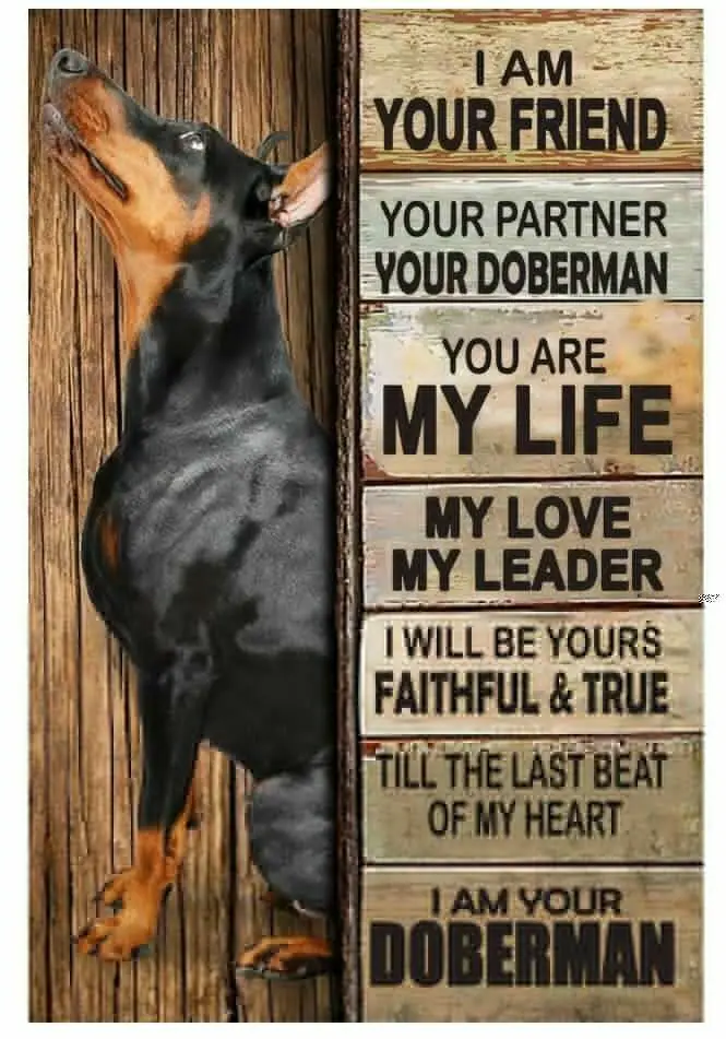 

Постер Doberman I Am Your Friend, винтажный жестяной знак, таблички для домашнего декора, художественные таблички, настенное искусство