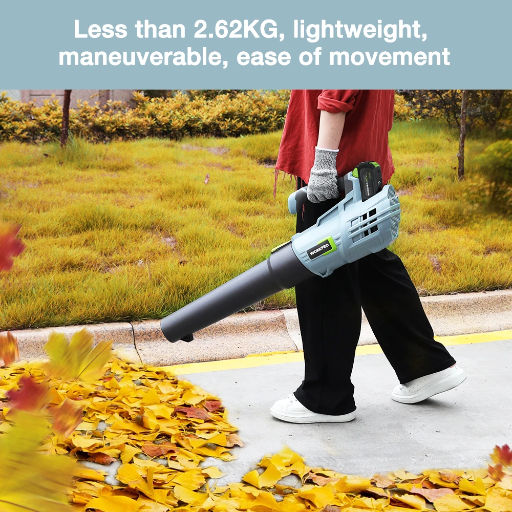 Battery Handheld Cordless Leaf Blower Snow Blower Dust Blowe