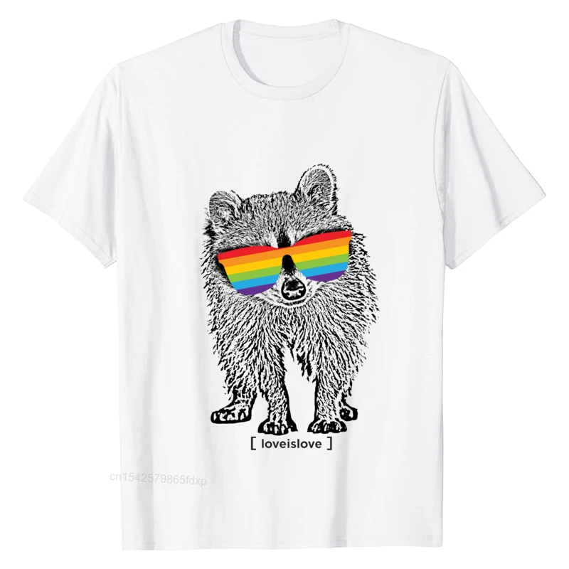 

Plain Tees Hot Sale LGBTQ Raccoon Love Is Love T Shirt O-Neck O Neck Clothes Short-Sleeve Casual Pure Cotton Men's T-Shirt